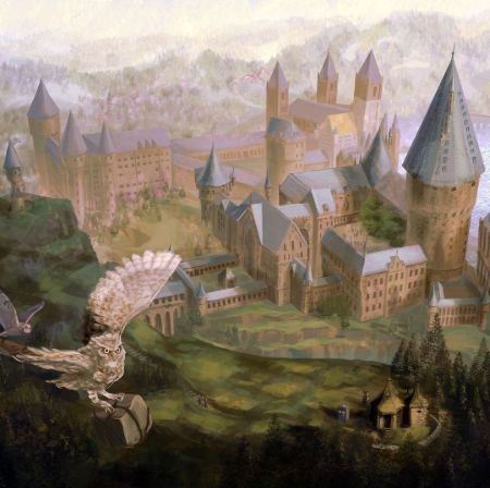 Harry Potter TV Series