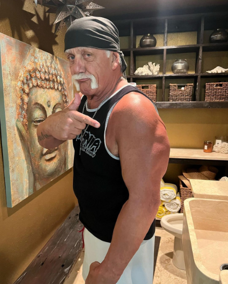 hulk hogan net worth