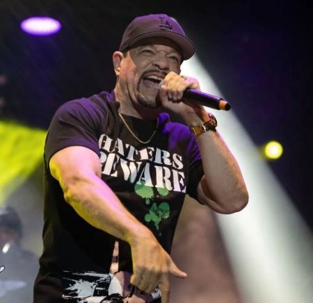 ice t net worth