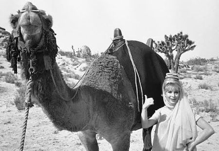 I Dream of Jeannie cast