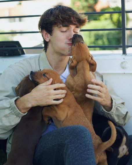 Bryce Hall net worth