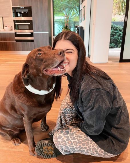 Charli D Amelio net worth