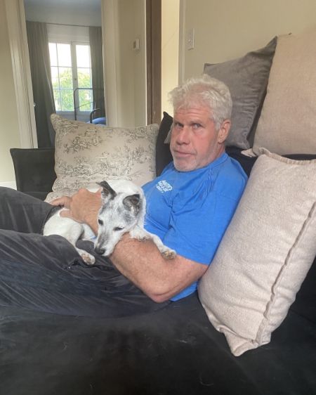 Ron Perlman net worth