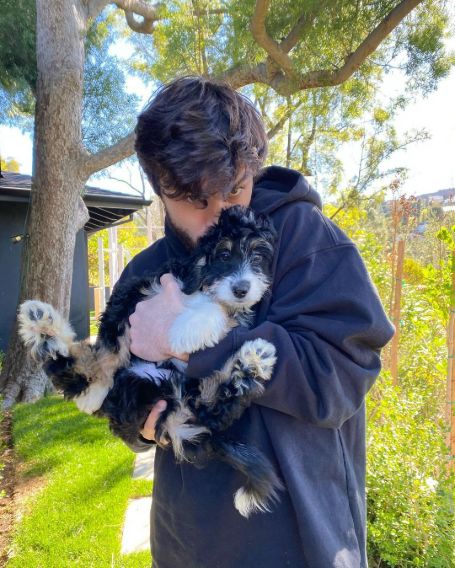 Ethan Nolan net worth