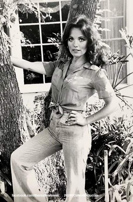 Dawn Wells age