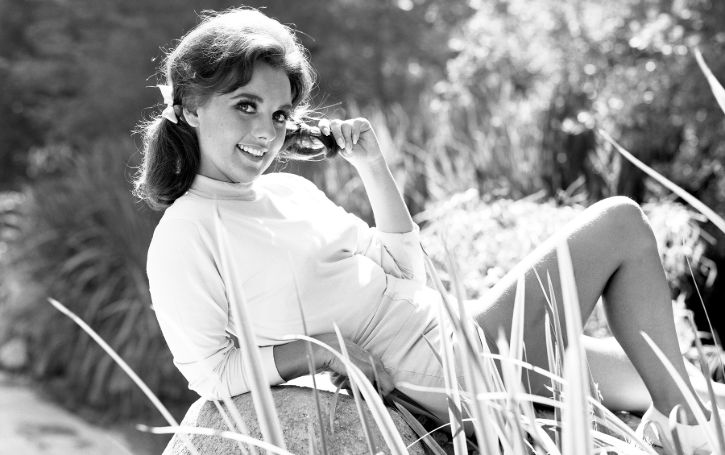 Dawn Wells net worth