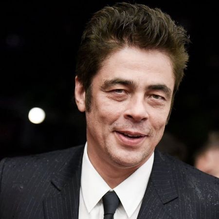 benicio del toro net worth