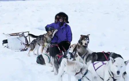 andy bassich with his dogs in alaska