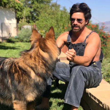 john stamos net worth