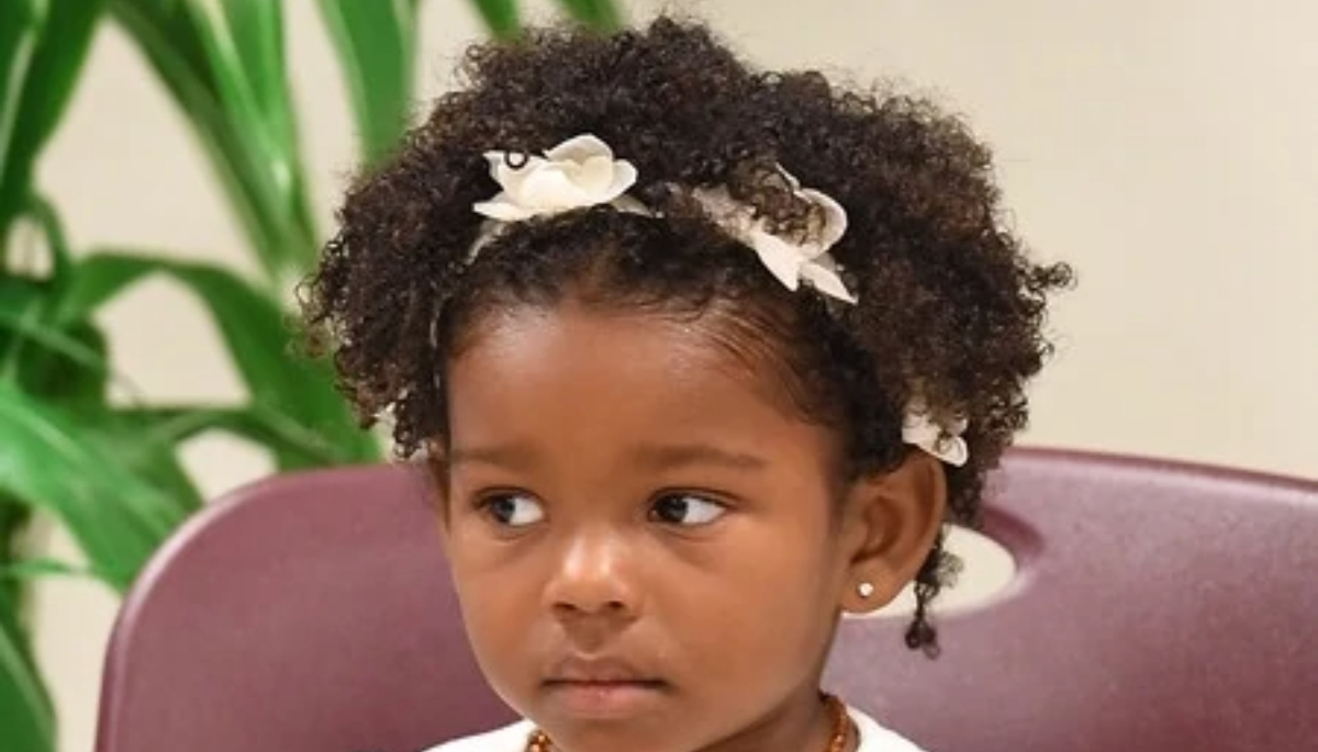 bodhi jameson rein brown bio