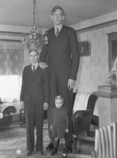 harold wadlow jr brother