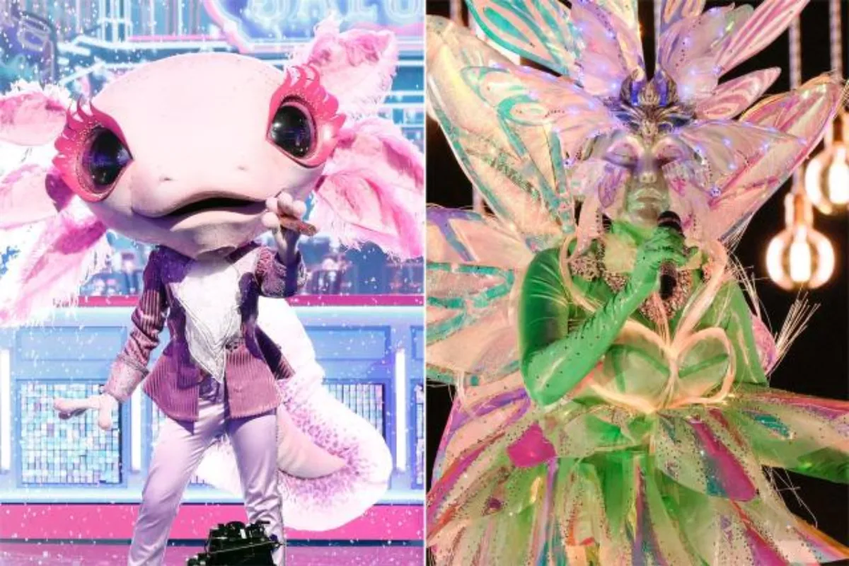 masked singer identity reveal on wednesday